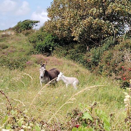 Ballyconneely House 골웨이 외부 사진